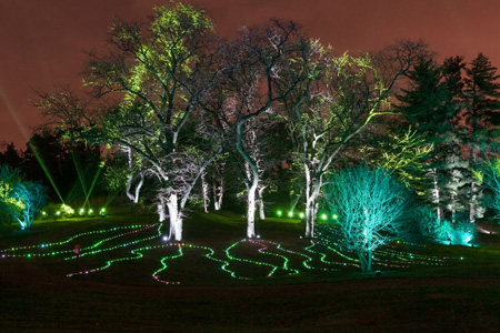 illumination at the morton arboretum